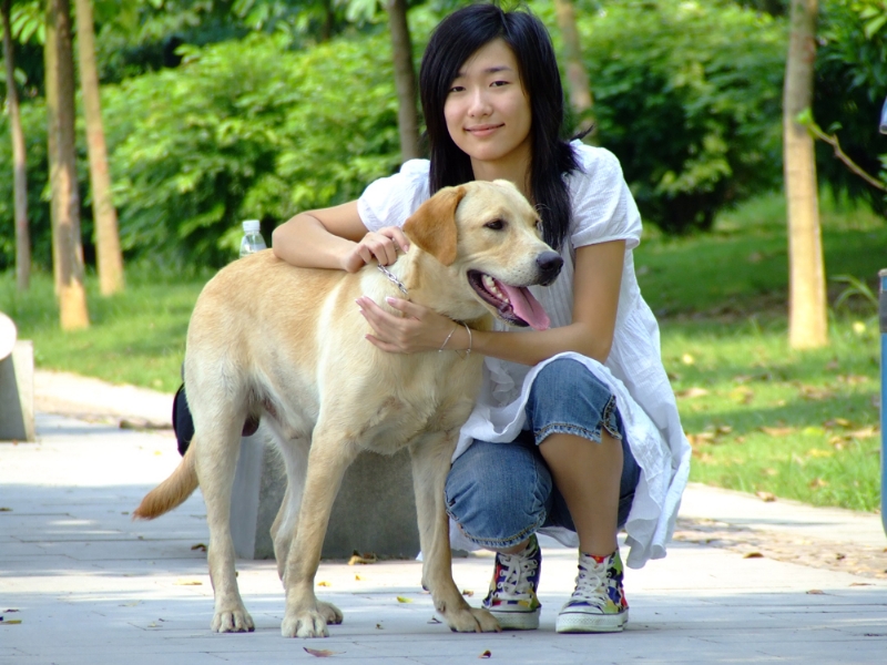 风中的绿叶的第一张照片--宜昌相亲服务中心