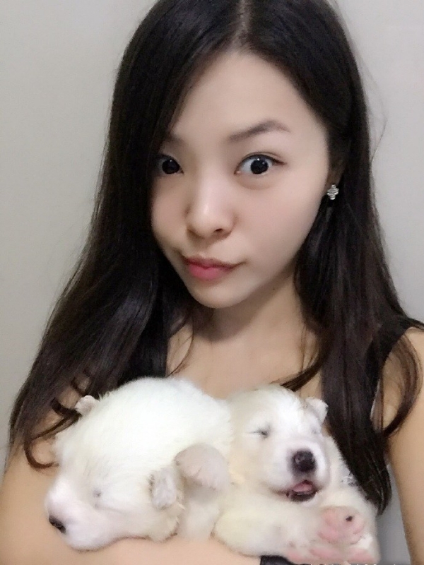 如果可以的第三张照片--宜昌相亲服务中心