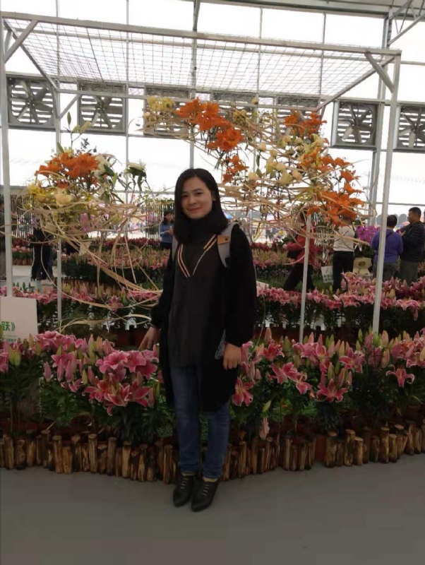 紫苏的第一张照片--宜昌相亲服务中心