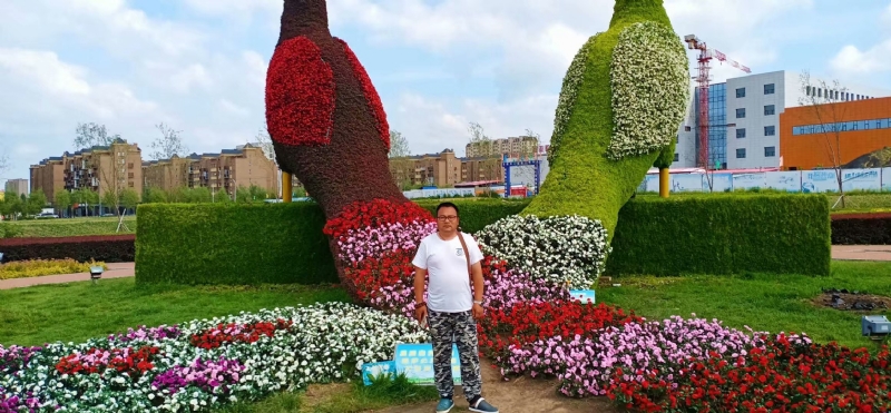 尘埃的第一张照片--宜昌相亲服务中心