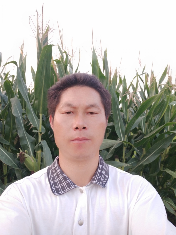 四海游龙的第二张照片--宜昌相亲服务中心