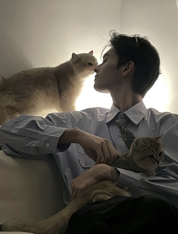 怪猫的第一张照片--宜昌相亲服务中心