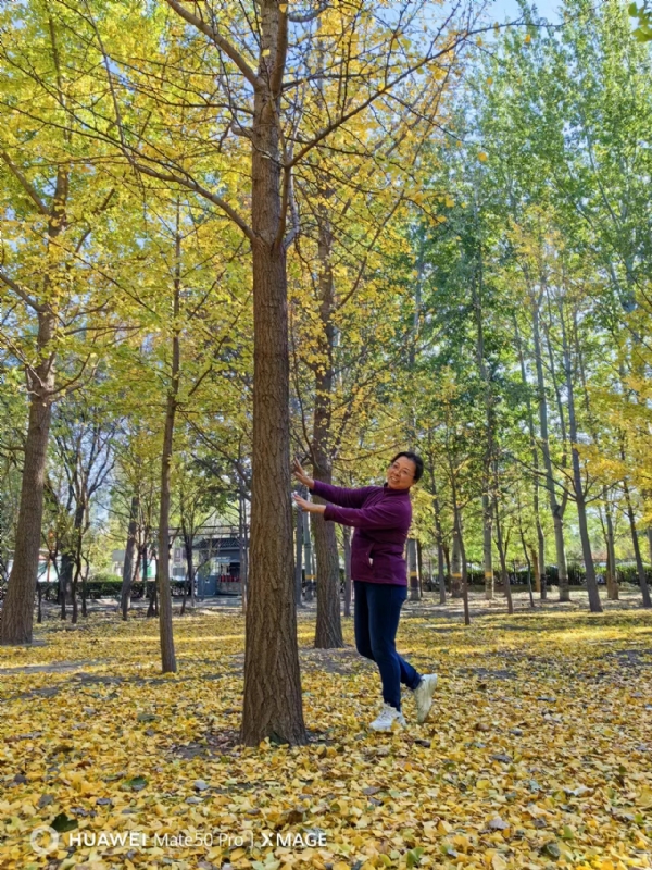 Shirley的第二张照片--宜昌相亲服务中心