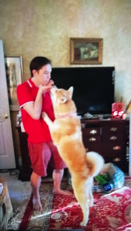 Leluch的第一张照片--宜昌相亲服务中心