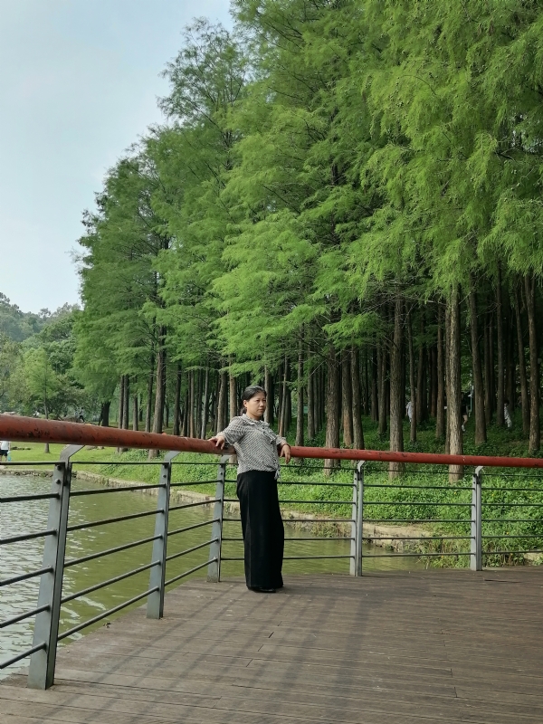 遗失的记忆的第二张照片--宜昌相亲服务中心