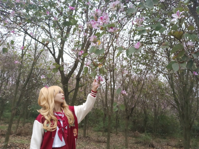 暮秋的第一张照片--宜昌相亲服务中心