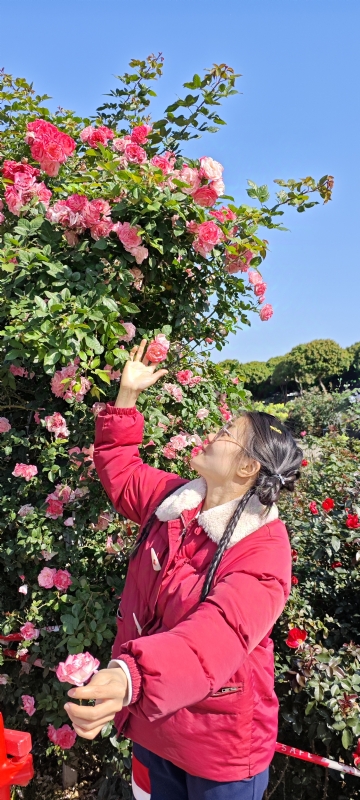 狗狗的第一张照片--宜昌相亲服务中心